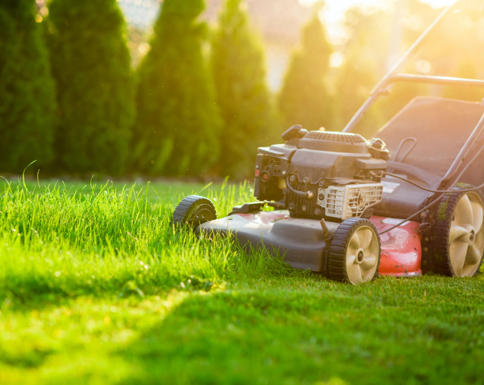 Lawn Maintenance Services (2)